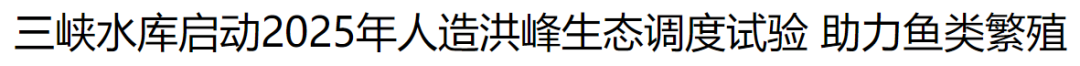 ▲中國(guó)日?qǐng)?bào)網(wǎng)6月11日《三峽水庫(kù)啟動(dòng)2025年人造洪峰生態(tài)調(diào)度試驗(yàn)助力魚(yú)類(lèi)繁殖》