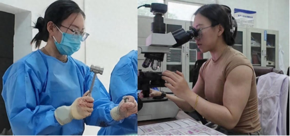 女生因張若昀爆劇入行法醫(yī)