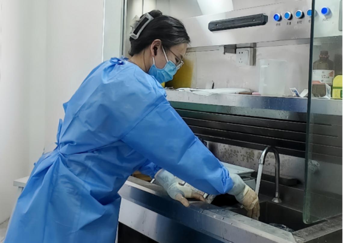 女生因張若昀爆劇入行法醫(yī)