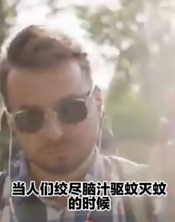 夏威夷為何要空投數萬只蚊子