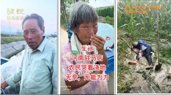 7月降水僅6毫米的河南駐馬店下雨了