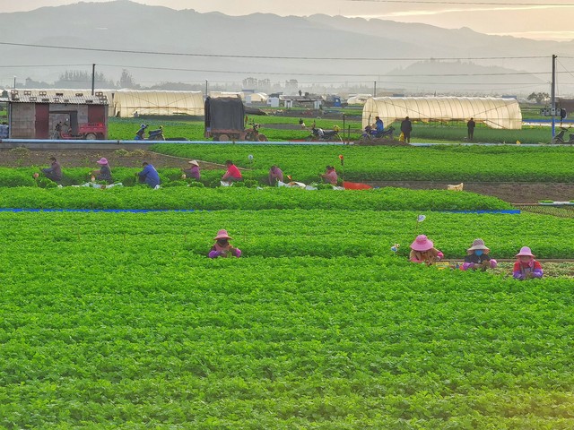 河南遭遇近25年以來最嚴重旱情