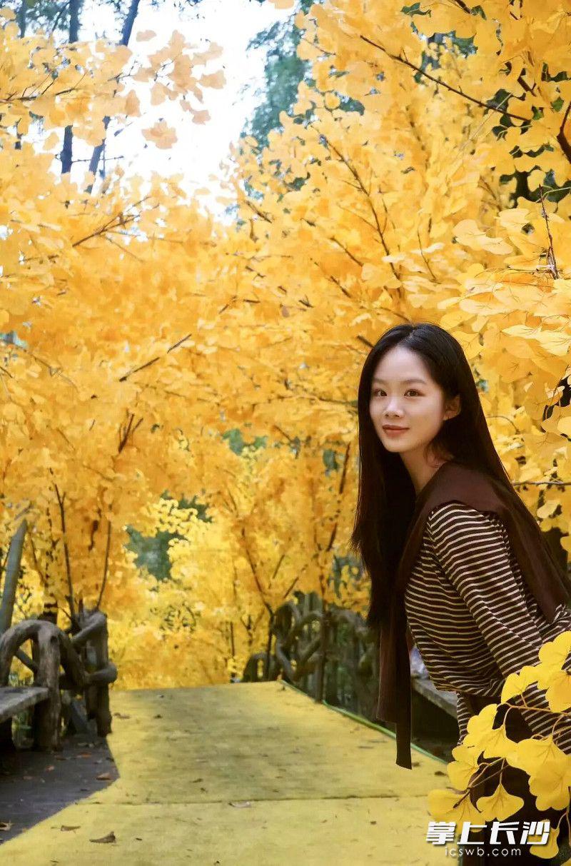 紅楓長廊銀杏隧道已搭好,石燕湖“拍照打卡天花板”等你來