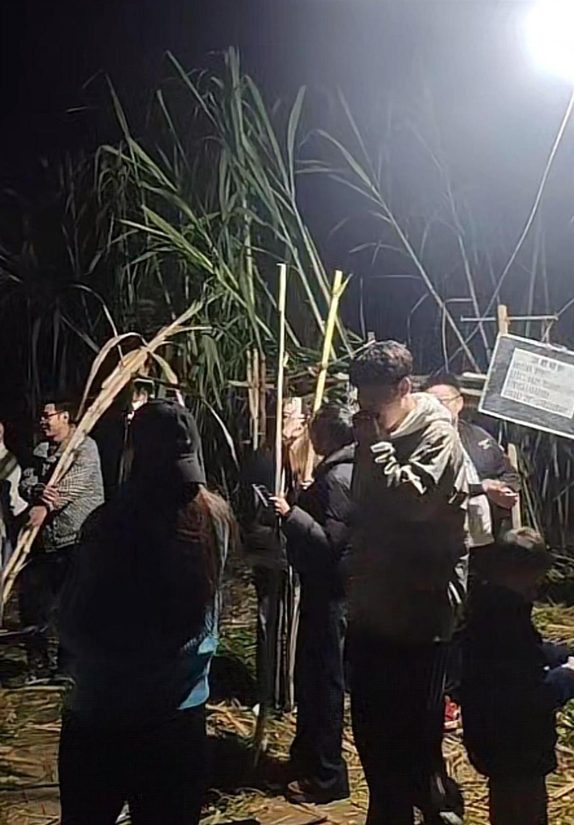 四川“甘蔗哥”增設2.99元入場費后,地里仍來了上千游客,“偷甘蔗”被逮到的人要當眾表演才藝,不少大學生免費做志愿者“抓人”